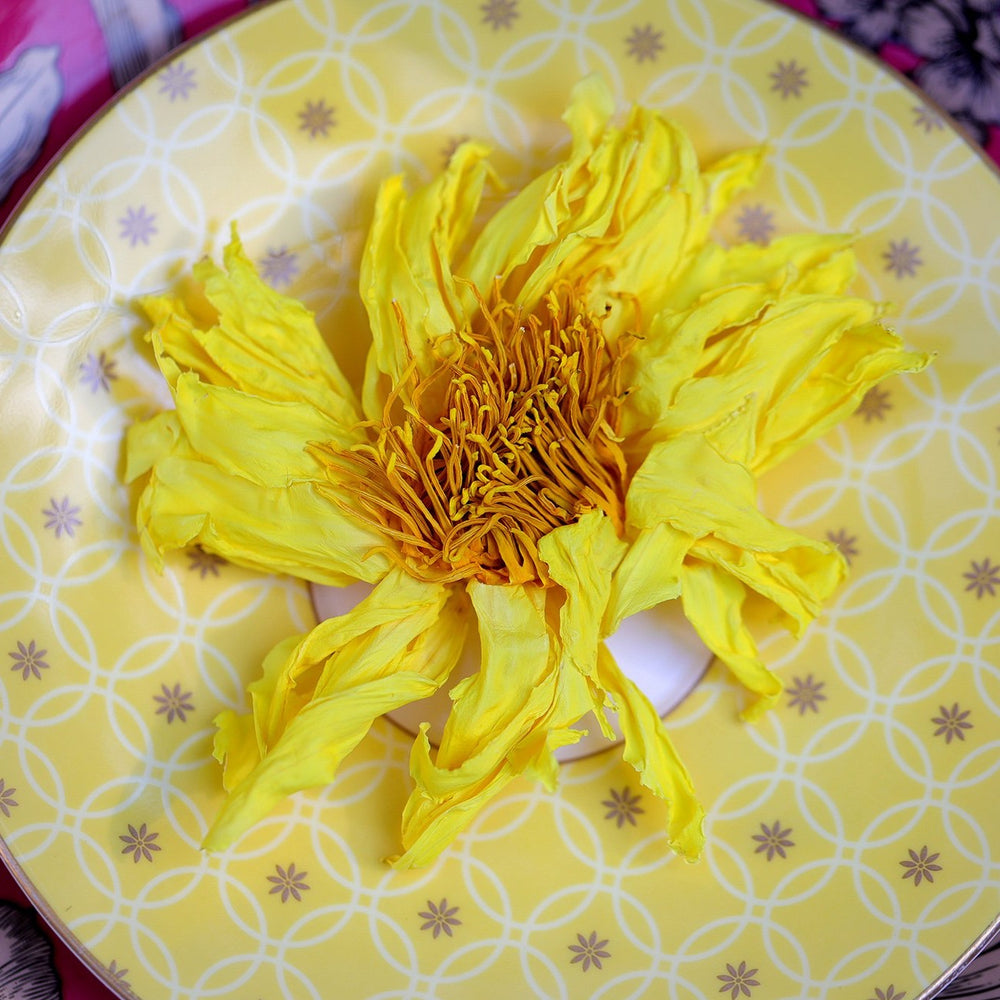 Lotus Ethereal Flower